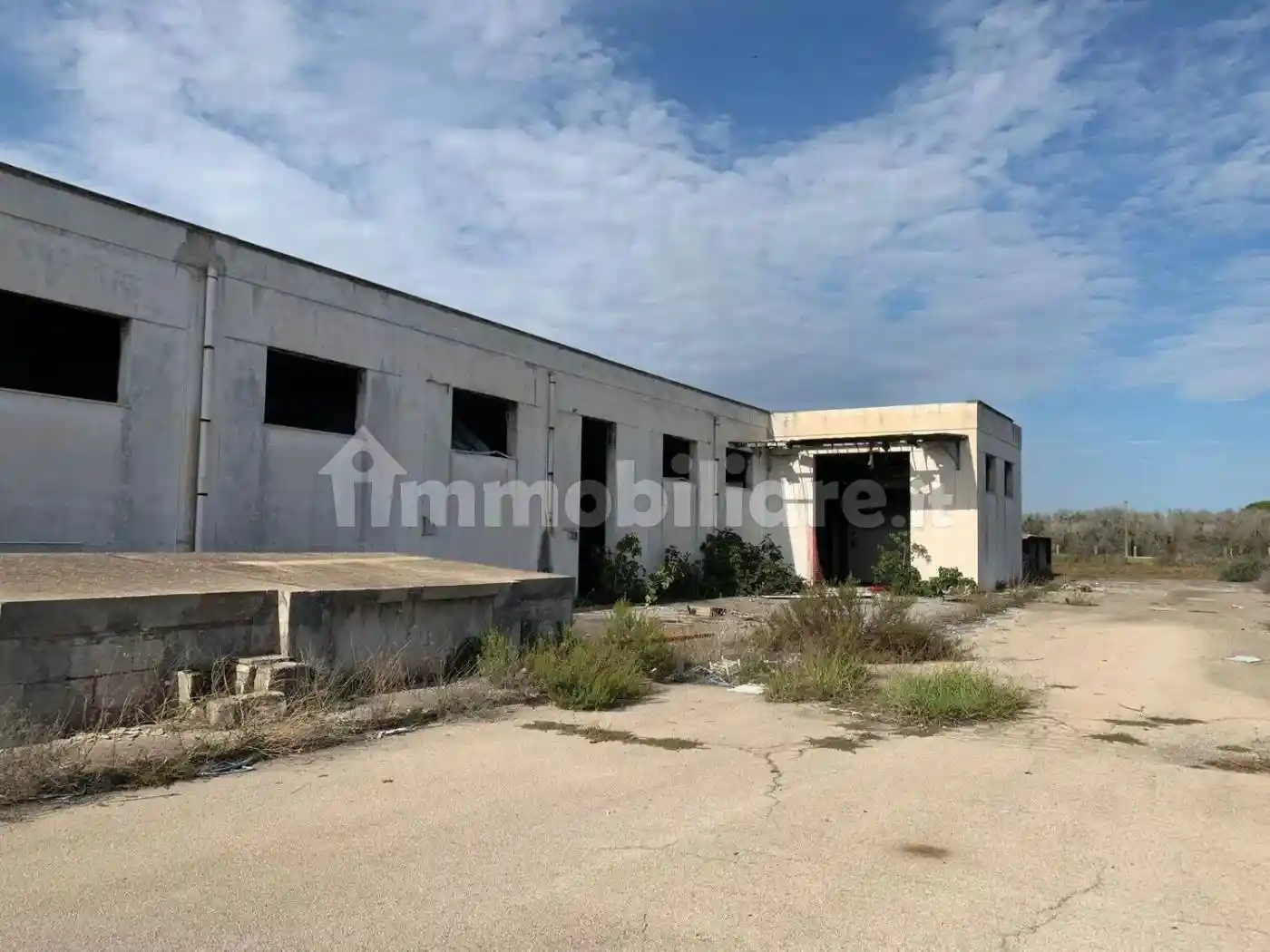 Palazzo - Edificio - foto 4