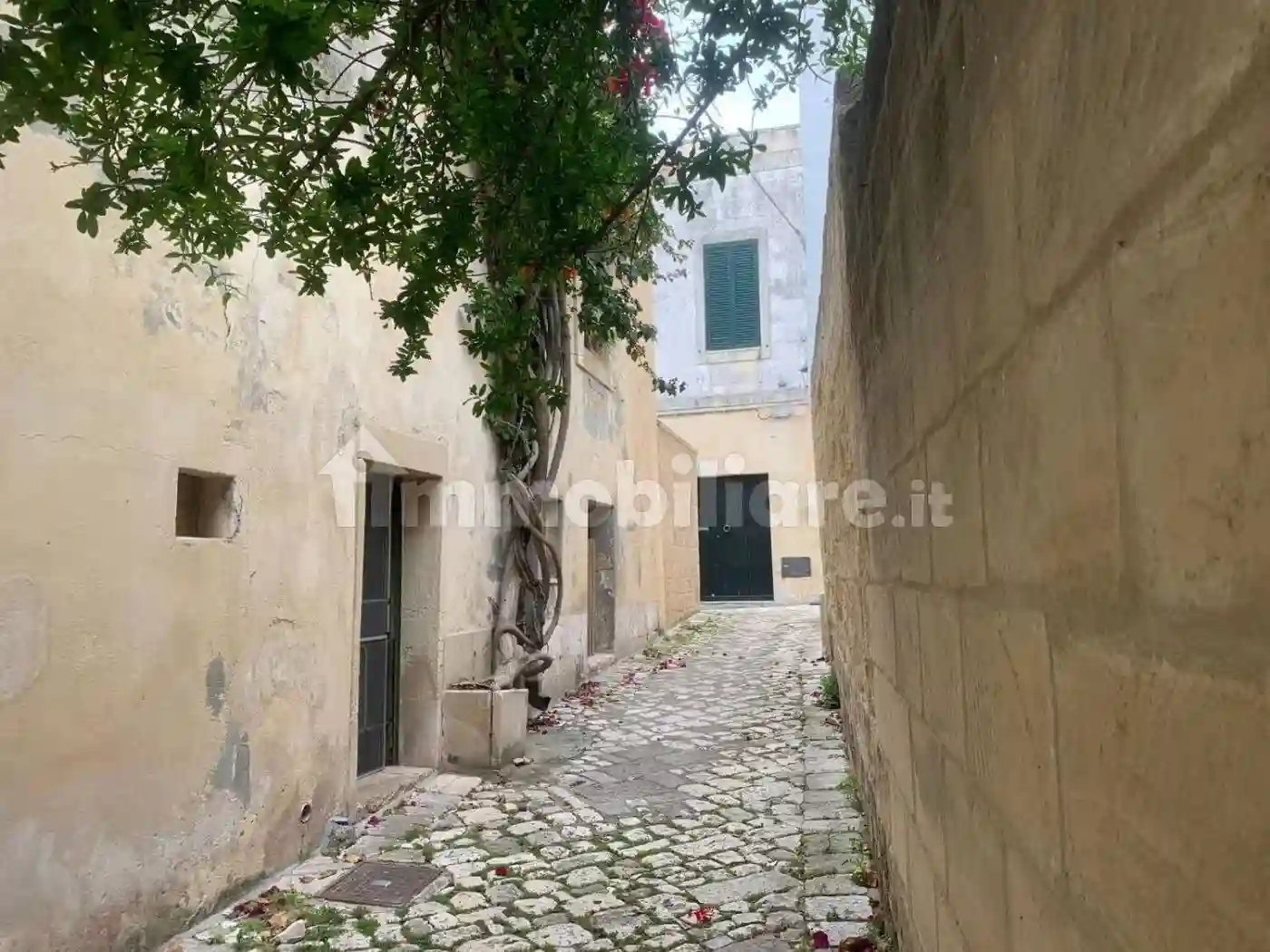 Palazzo - Edificio - foto 3