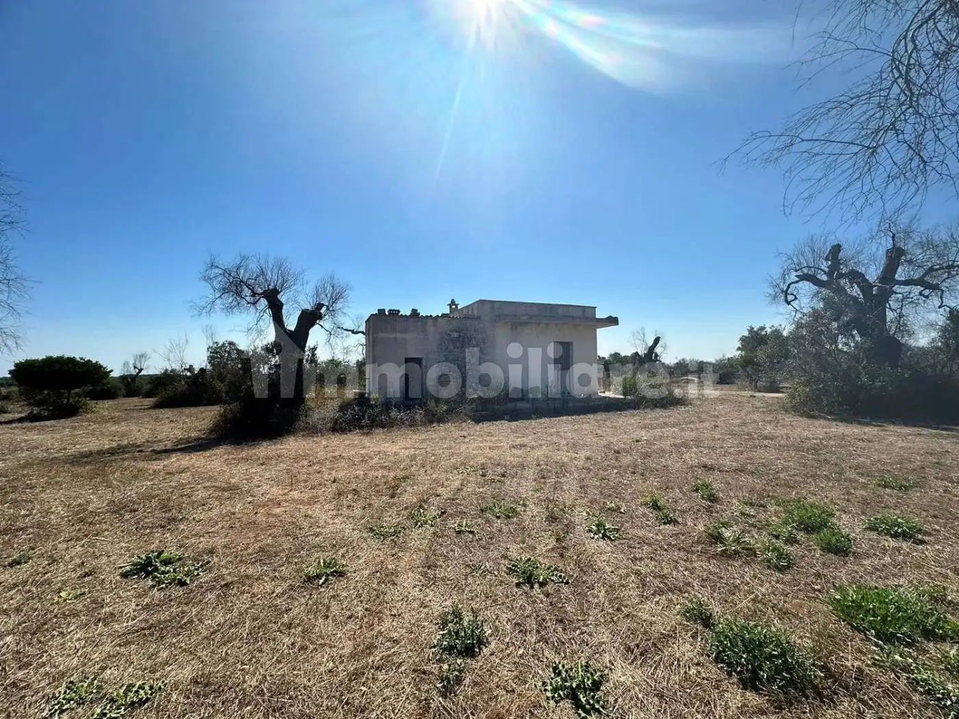 Rustico - Casale in vendita a Vernole