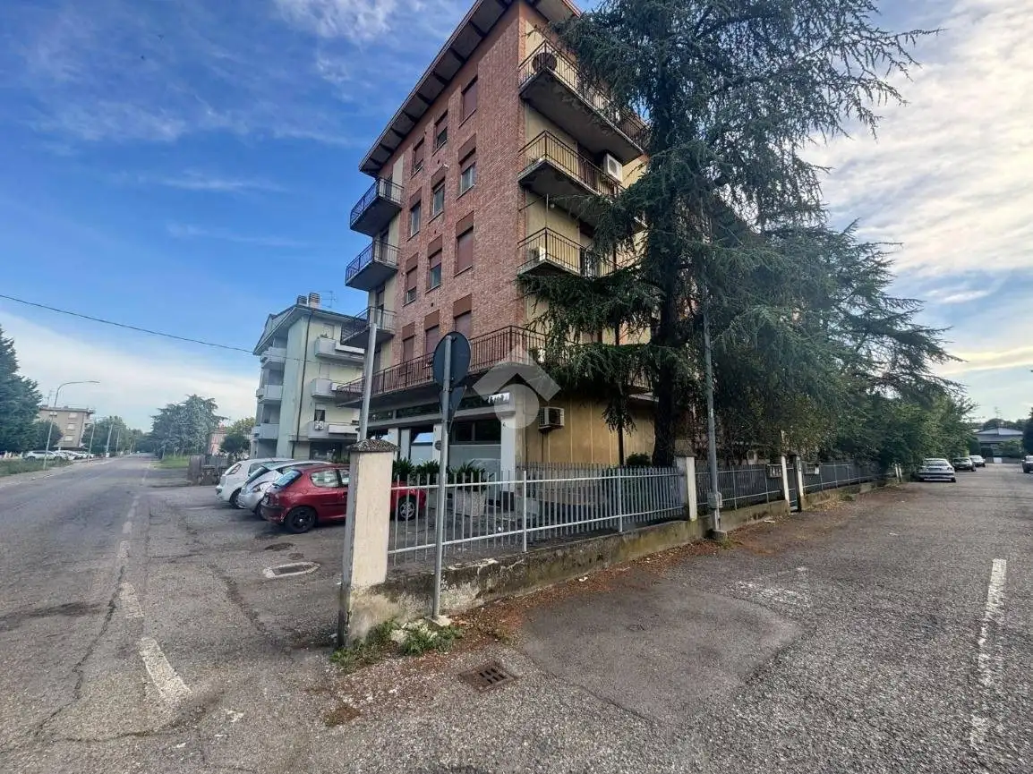 Appartamento in vendita a Castelnovo di Sotto
