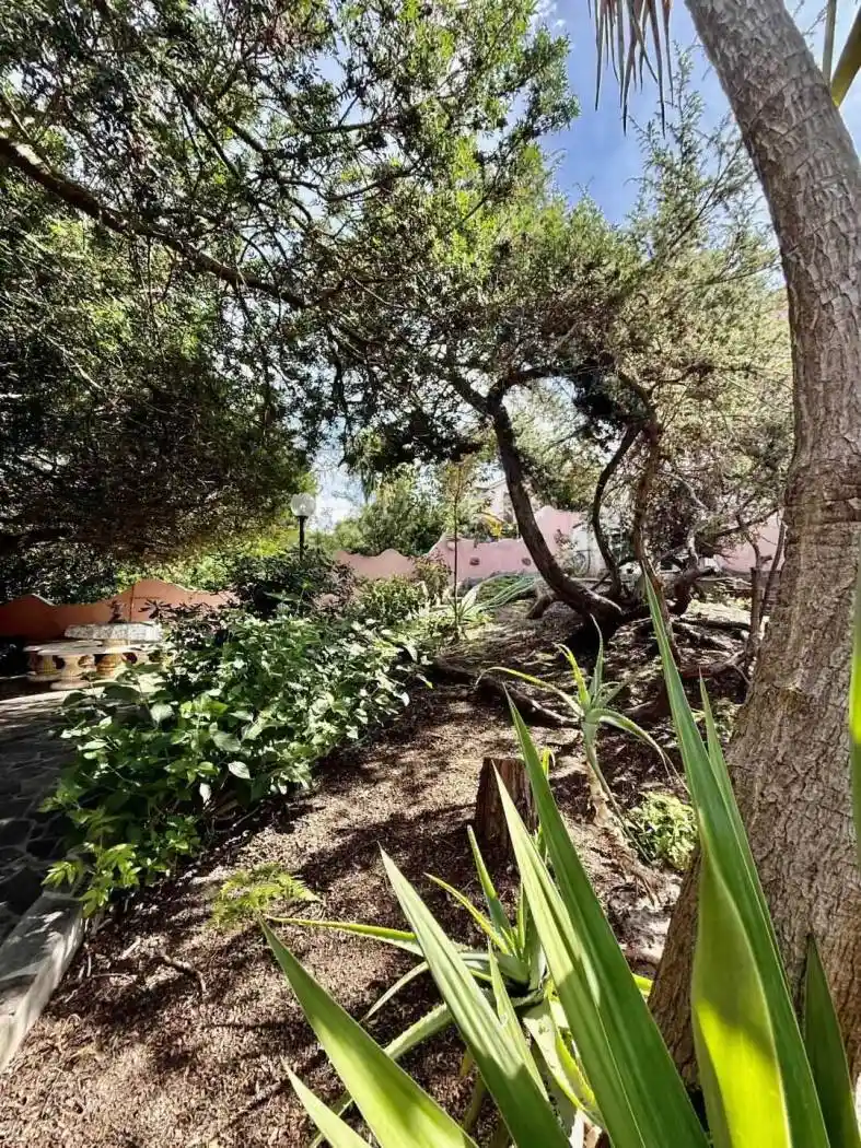 Villa unifamiliare via delle Rondini, Centro, Calasetta - foto 4