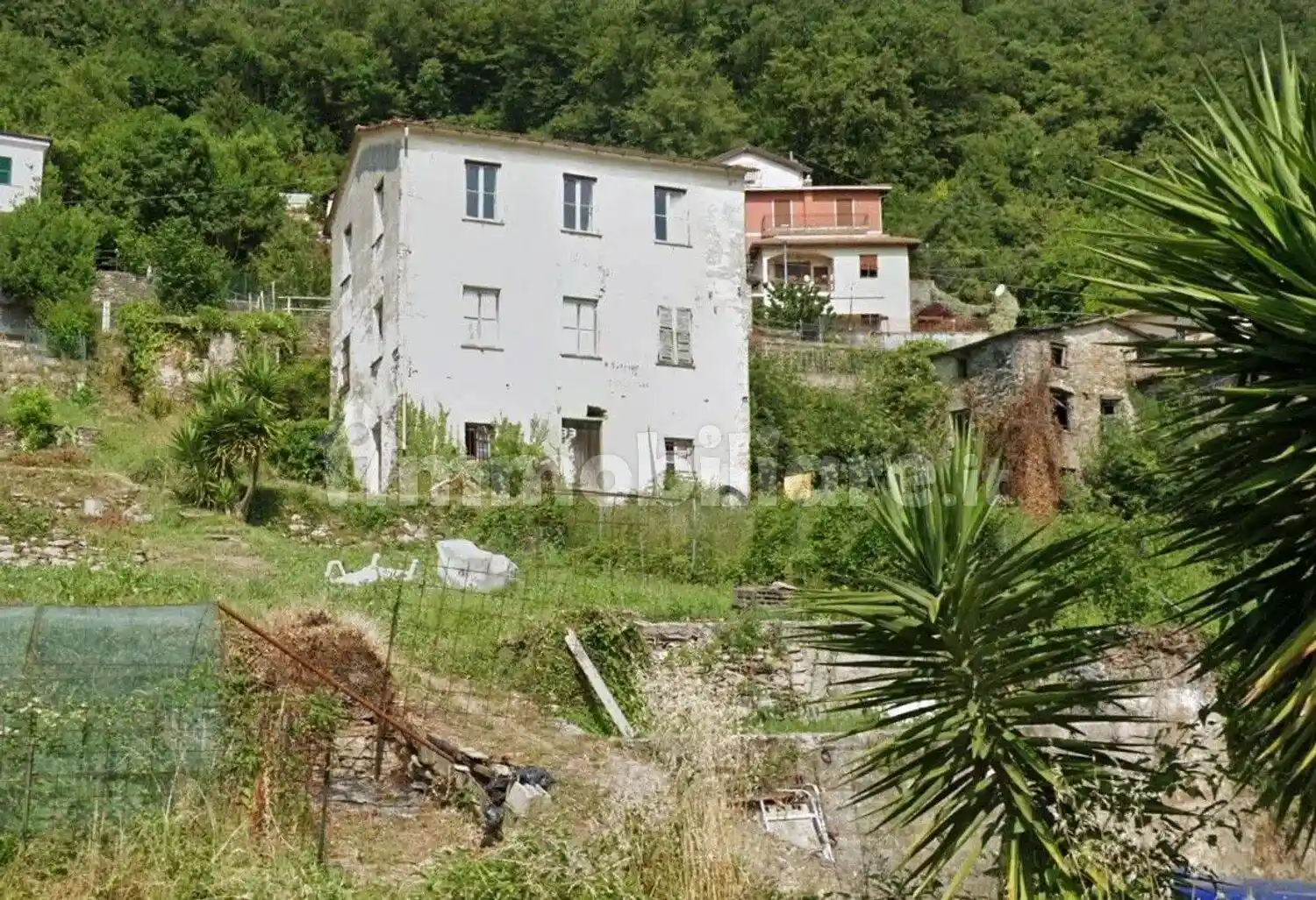 Rustico - Casale - foto 3