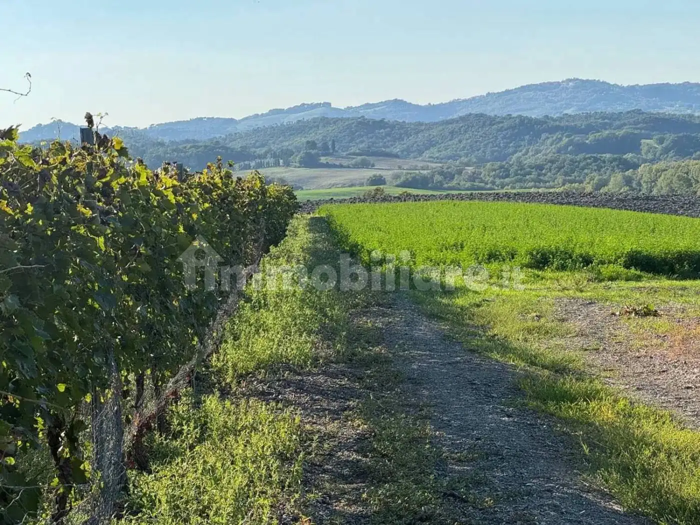 Rustico - Casale in vendita a Montecatini Val di Cecina