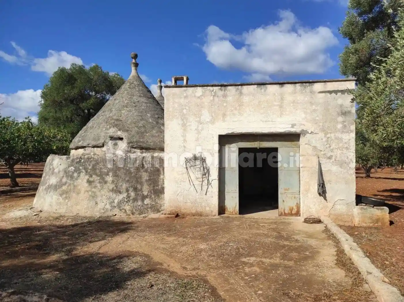 Rustico Piana Degli Ulivi No Number, Tamburroni, Grottone, Rosara, Ostuni - foto 3