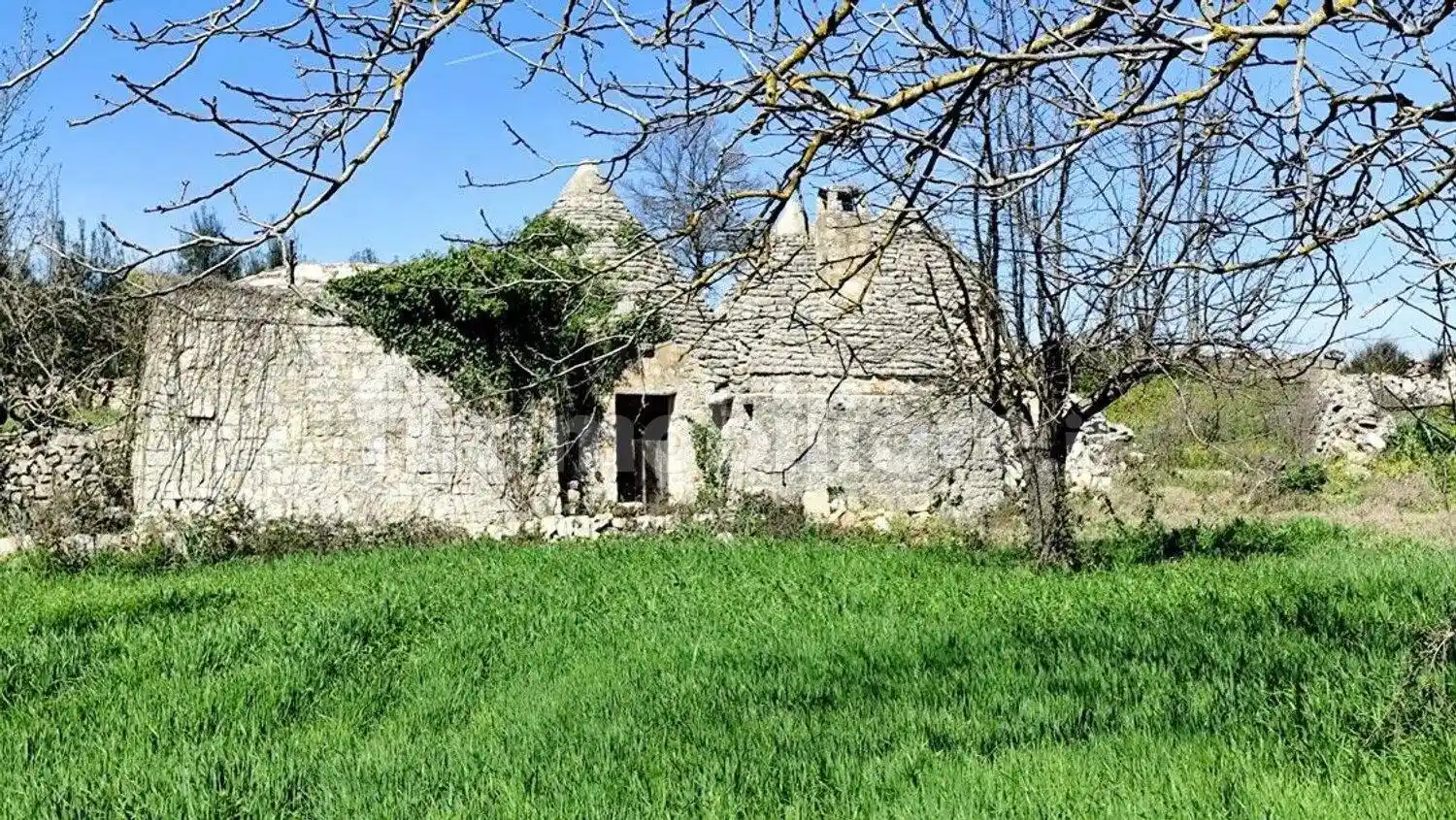 Rustico - Casale in vendita a Ostuni