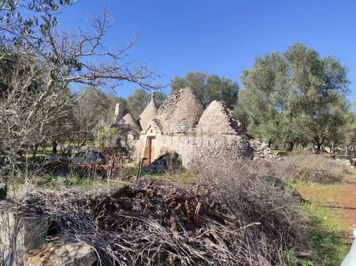 Rustico - Casale - foto 5