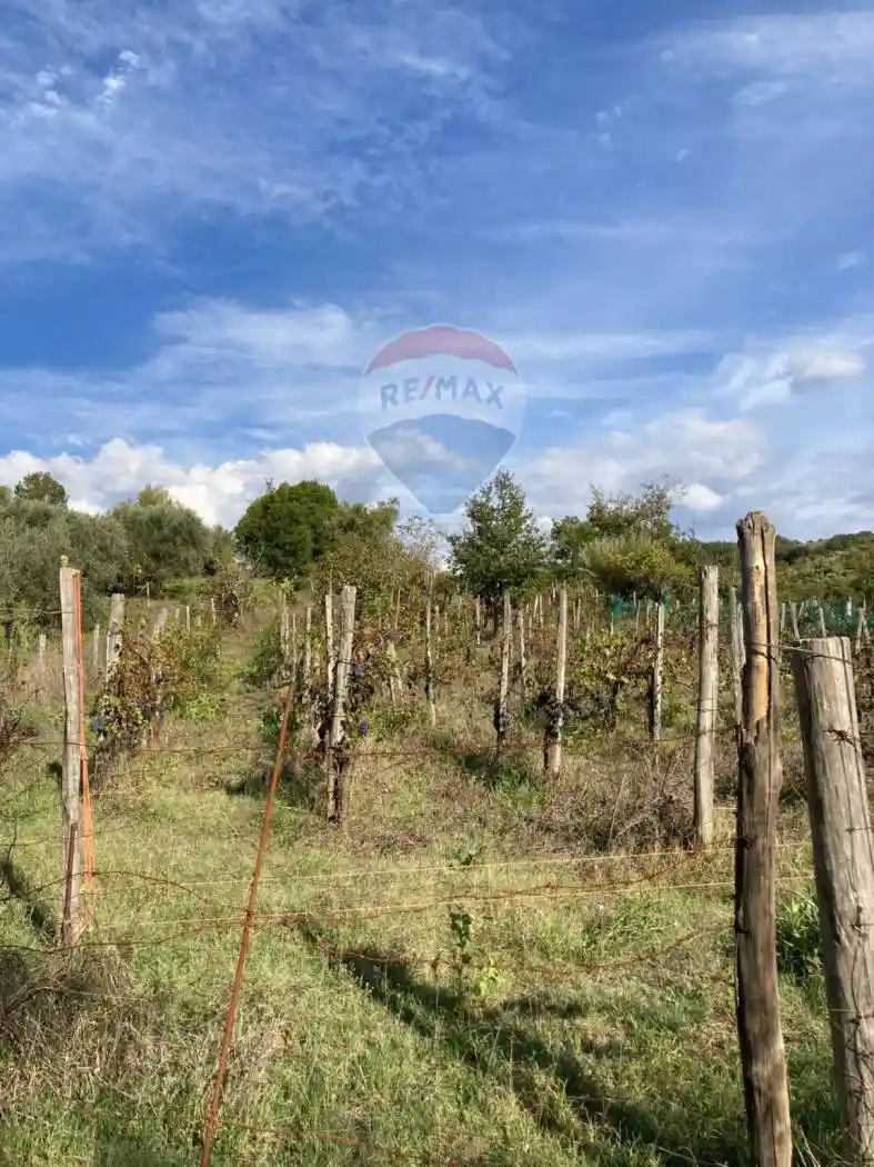 Rustico - Casale in vendita a Felitto