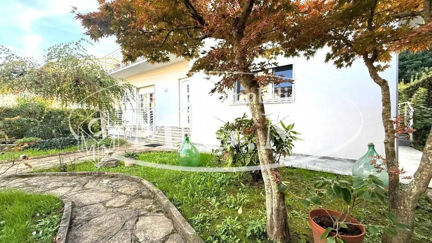 Appartamento in affitto a Vicopisano