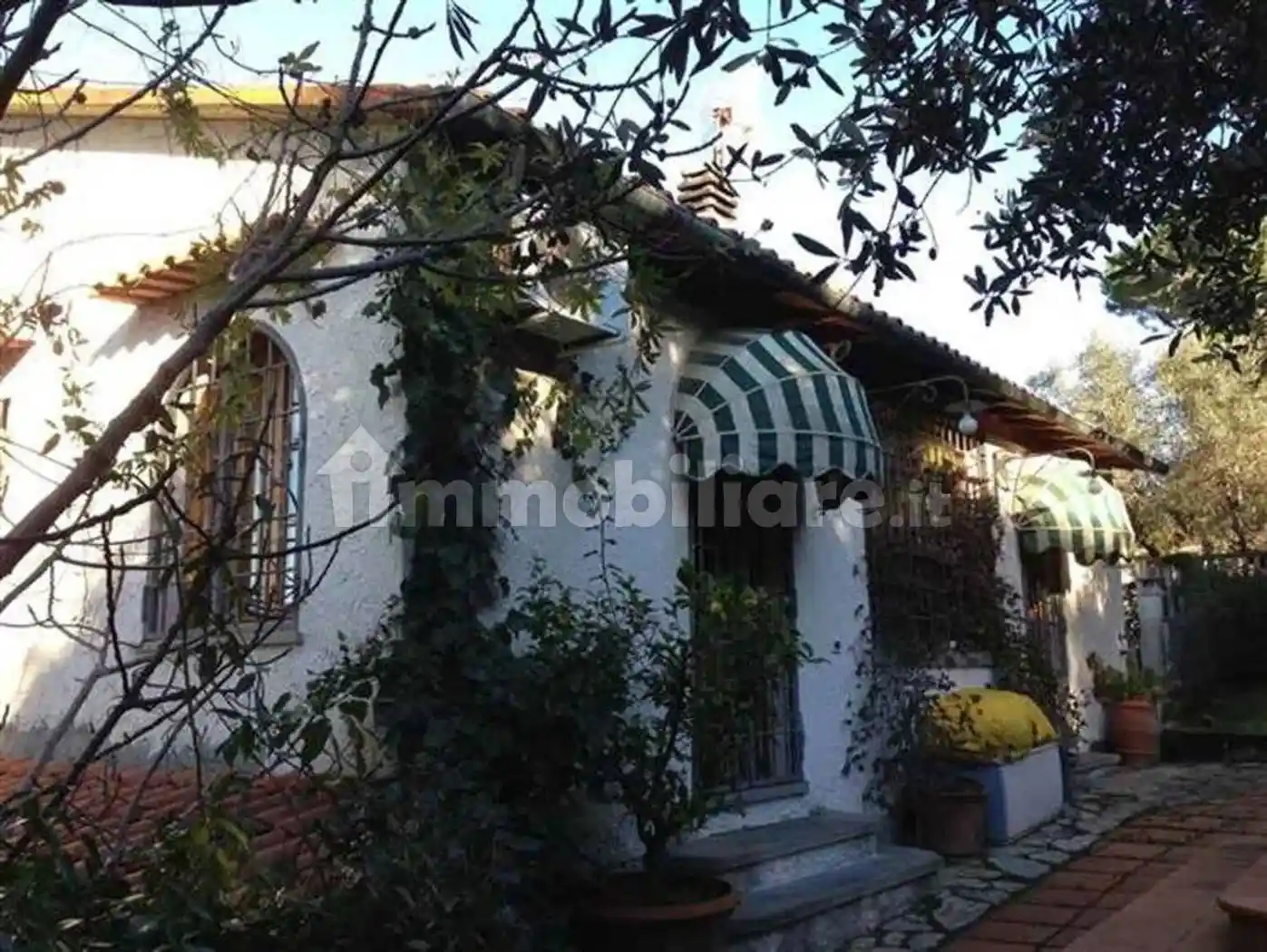 Rustico - Casale in vendita a Montescudaio