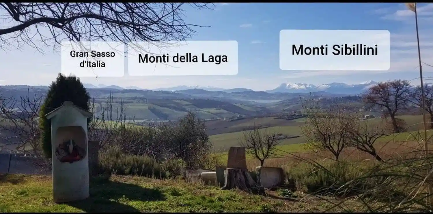 Rustico - Casale in vendita a Monte San Giusto