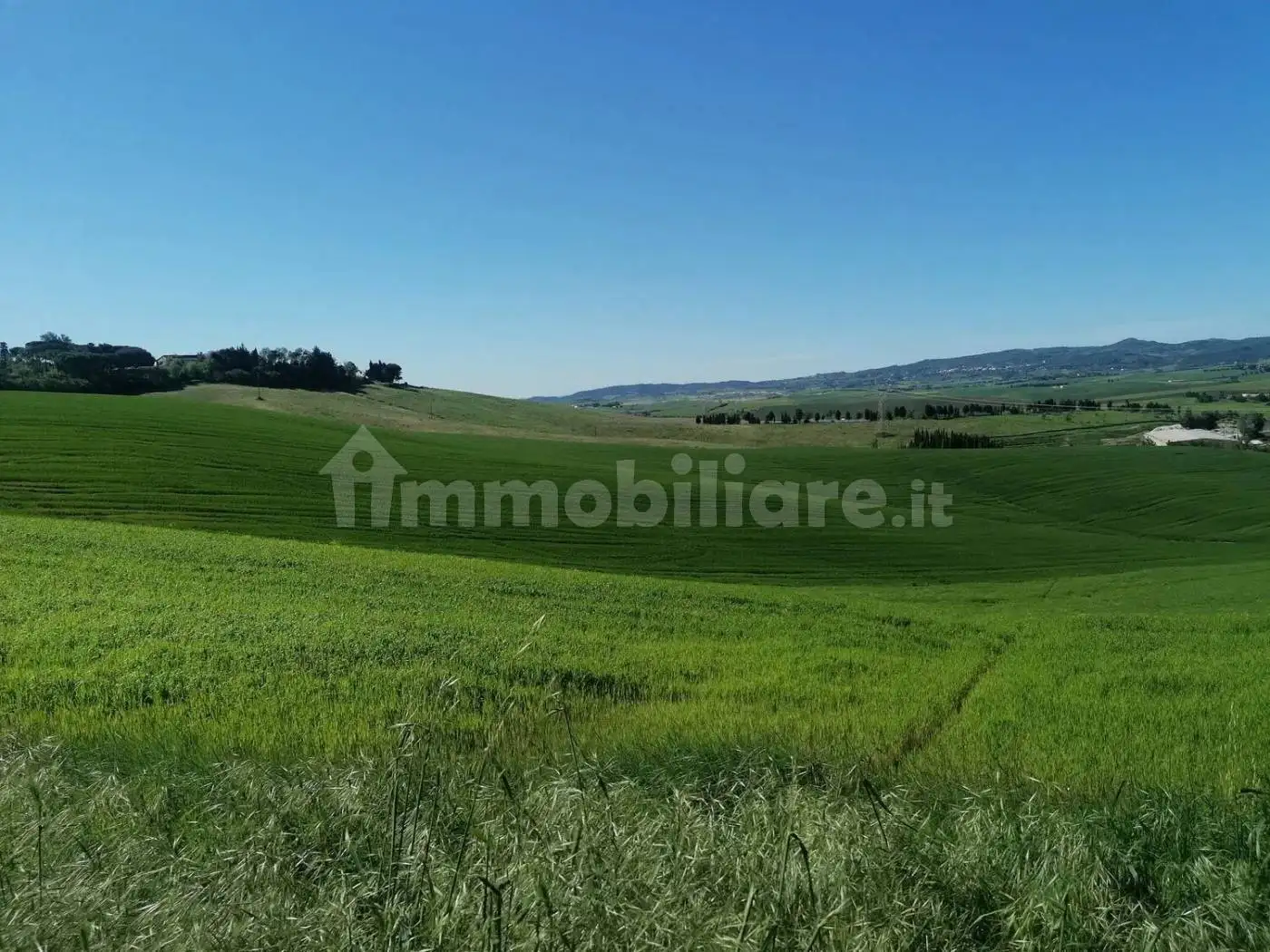 Appartamento in affitto a Orciano Pisano