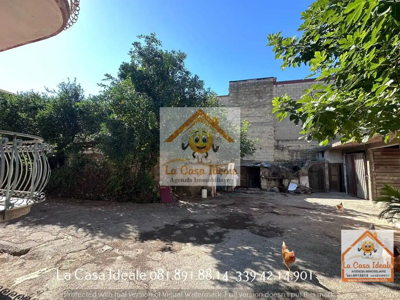 Palazzo - Edificio - foto 5