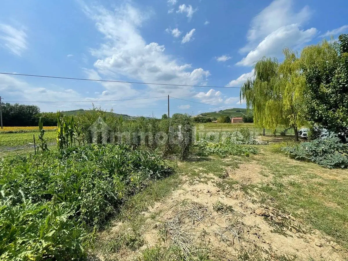 Rustico frazione Quartino 28, Centro, Calamandrana - foto 5