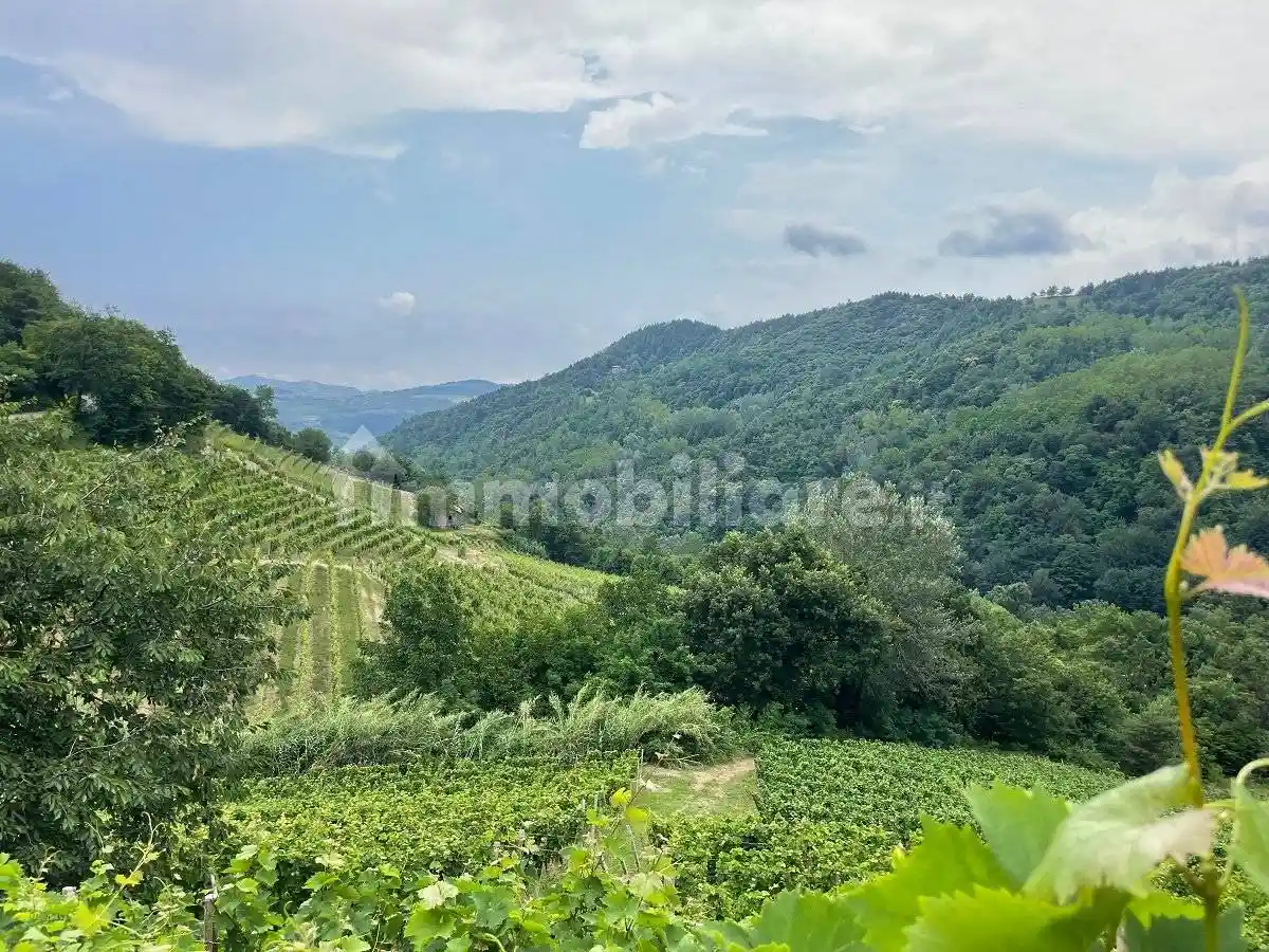 Rustico via Sant'Elena 3, Castino - foto 2