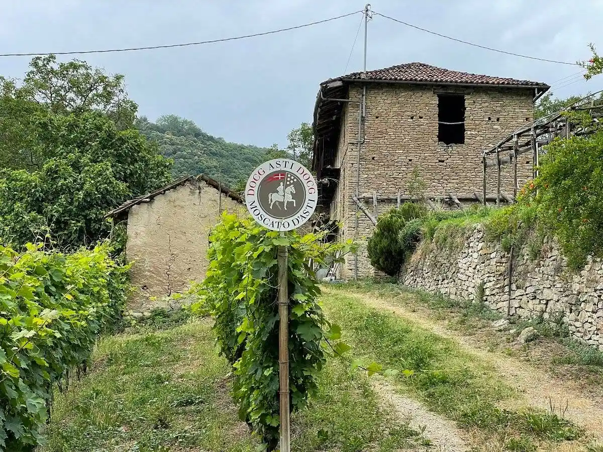Rustico via Sant'Elena 3, Castino - foto 3