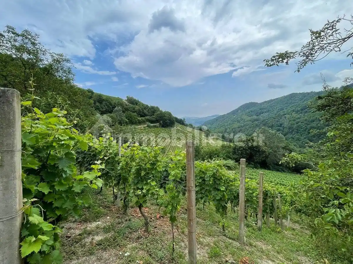 Rustico via Sant'Elena 3, Castino - foto 5