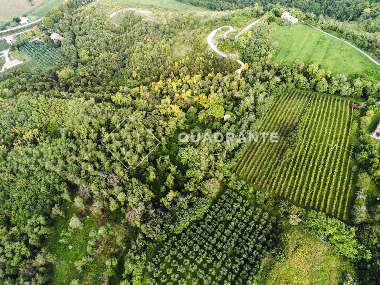 Rustico Baone via Papafave, Baone - foto 4