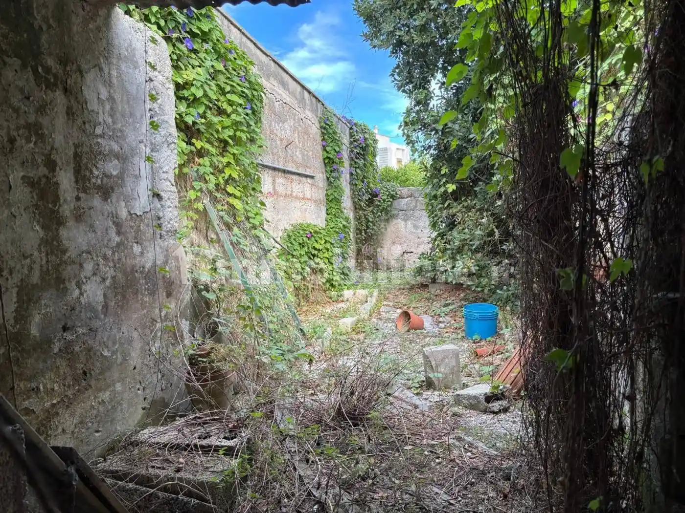 Casa indipendente in vendita a San Pietro Vernotico