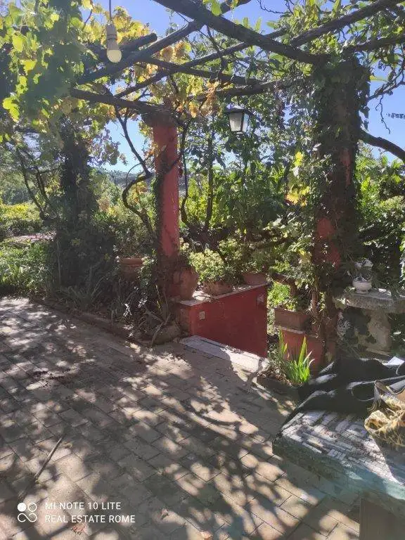 Casale via di Campo Vecchio, Valle Marciana, Grottaferrata - foto 3