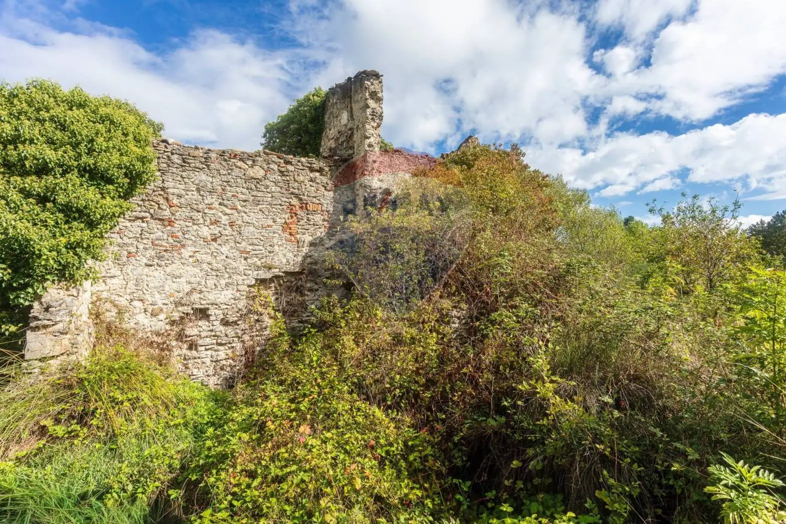 Rustico via del Bollore 36, Bagni San Filippo, Castiglione d'Orcia - foto 5