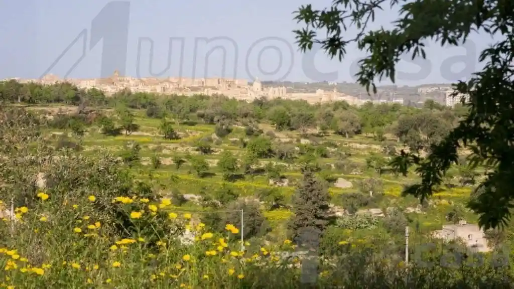Rustico - Casale in vendita a Noto