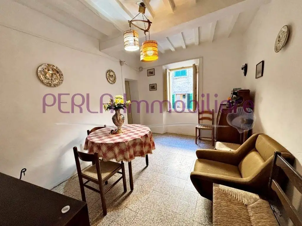 Appartamento buono stato, Sasso Pisano, Castelnuovo di Val di Cecina - foto 2