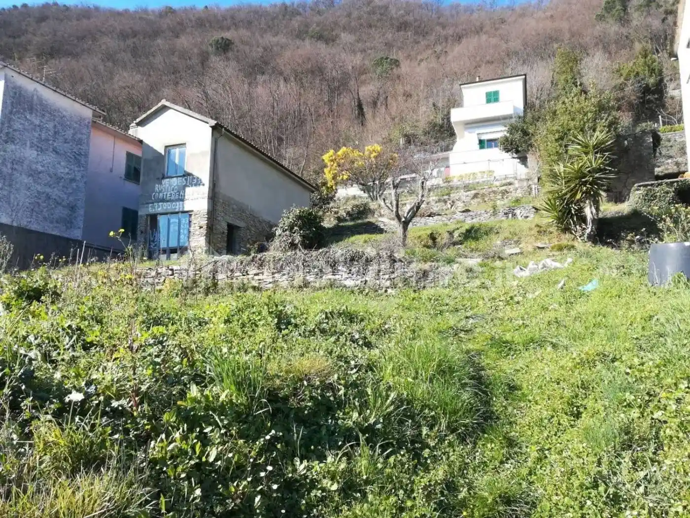 Rustico - Casale - foto 4