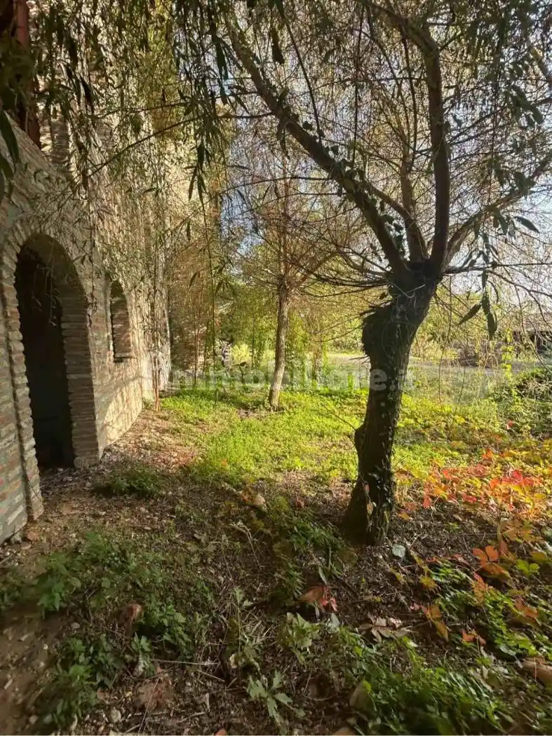 Cascina via Monte Grappa, San Pietro, Pavia - foto 5