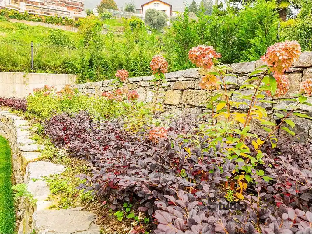 Quadrilocale nuovo, piano terra, Rancio, Lecco - foto 5