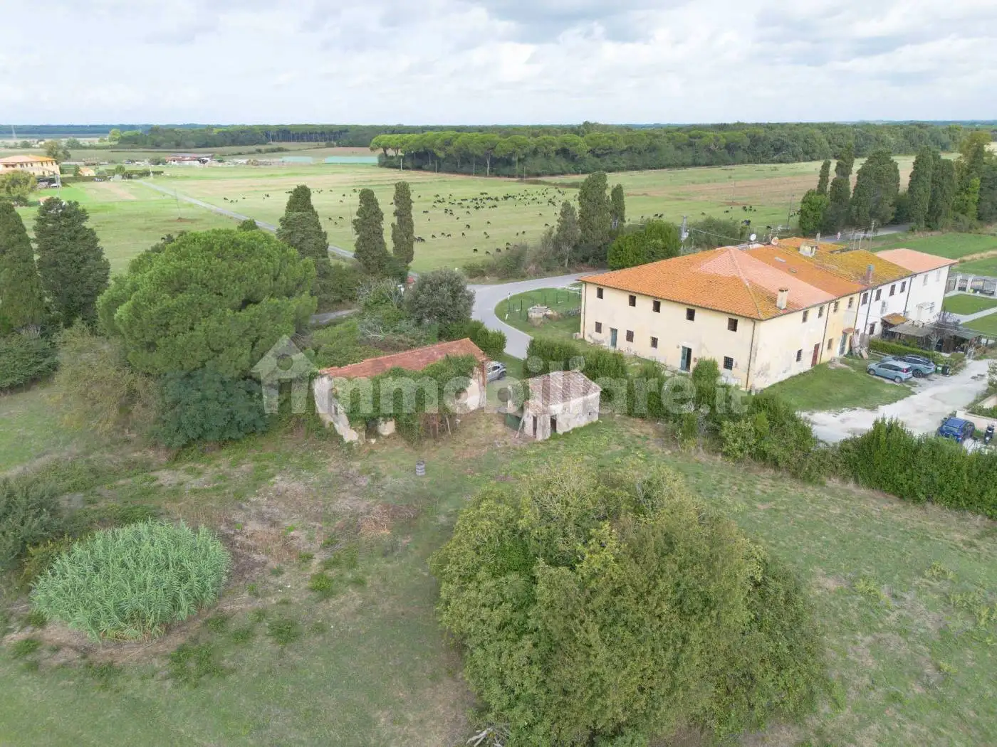 Rustico - Casale in vendita a Pisa