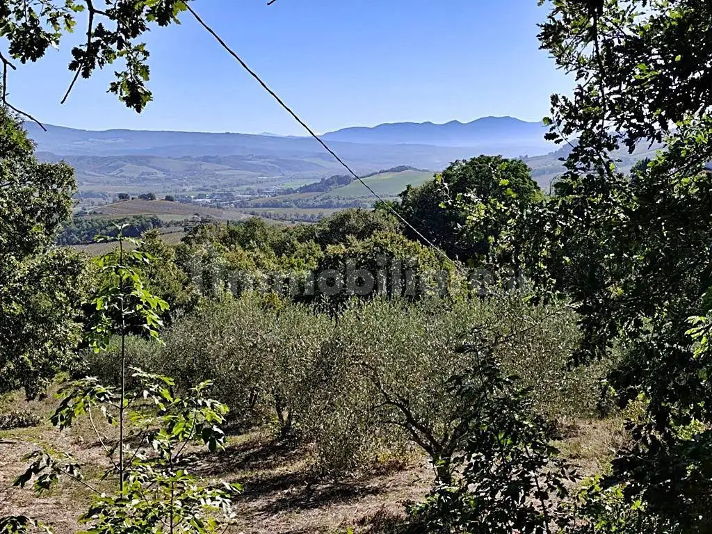Rustico - Casale in vendita a Castel Viscardo