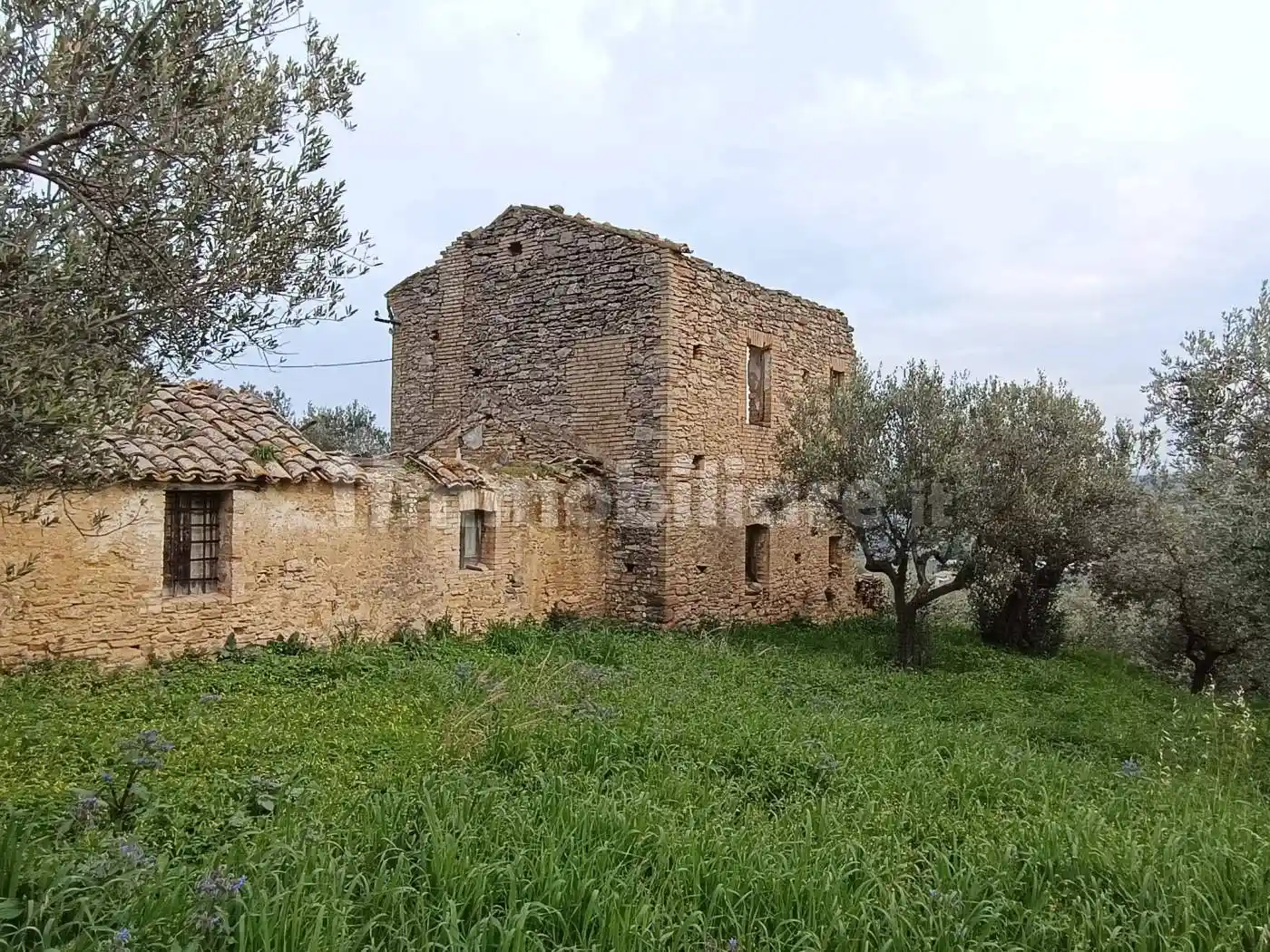 Rustico - Casale - foto 2