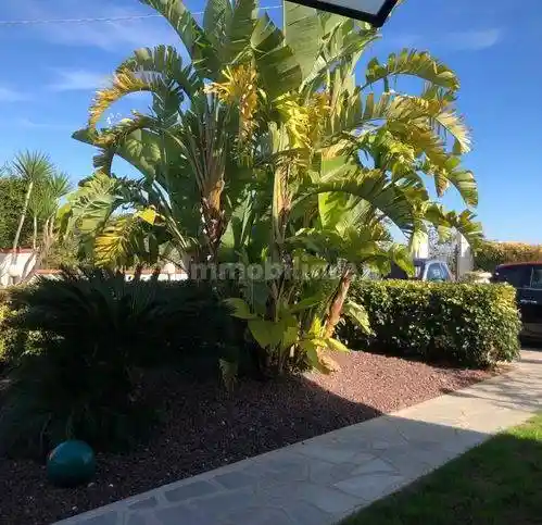 Terratetto unifamiliare Bussana, Bussana, Sanremo - foto 5