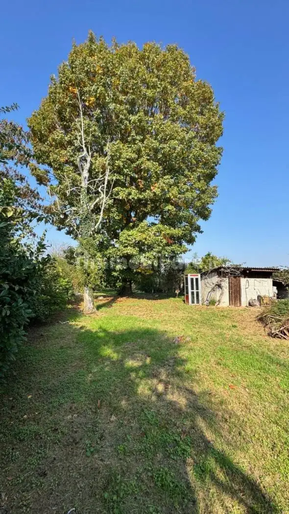 Terratetto unifamiliare via Maestra, Torrazza, Borgo San Siro - foto 4