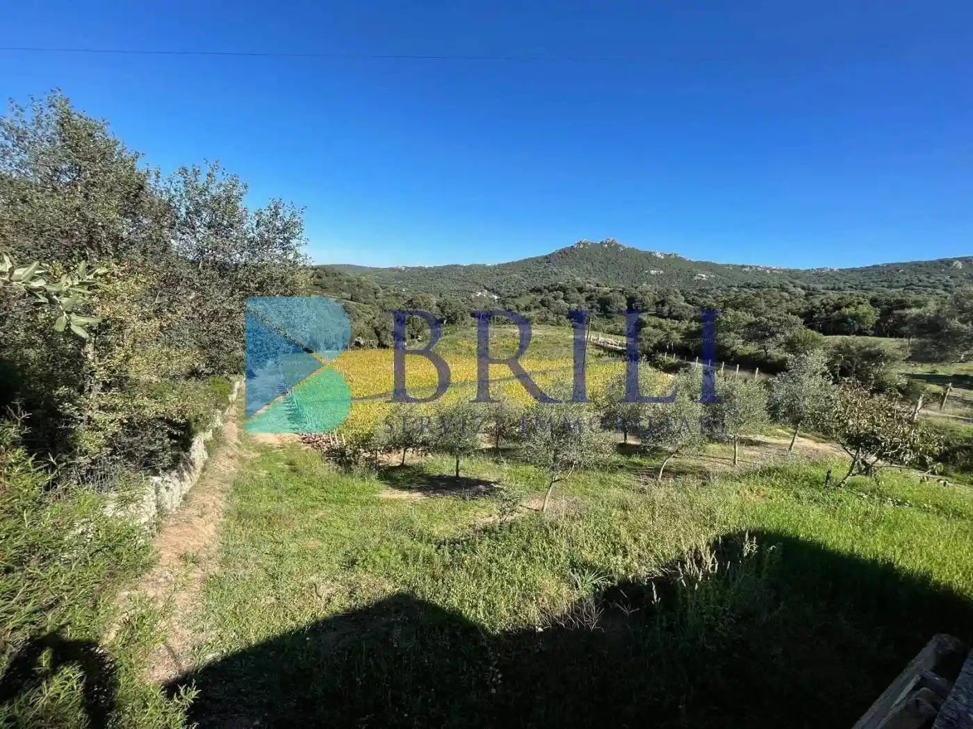 Casa colonica Località Vaddidulimu, Luogosanto - foto 4