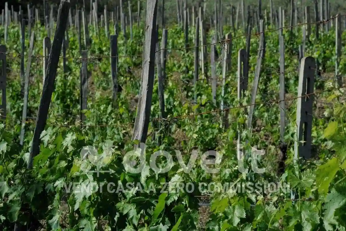 Rustico - Casale - foto 4