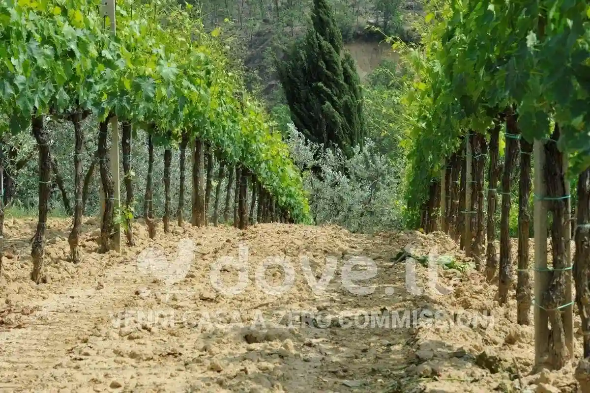 Rustico - Casale - foto 5