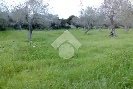 Villa unifamiliare Strada Vicinale Maccia di La Faba 1, Li Punti - Viziliu, Sassari - foto 5