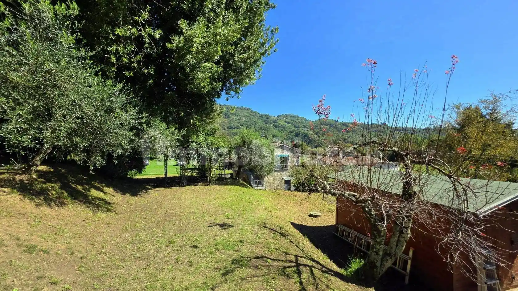 Casale via Giardino 1, Centro, Barga - foto 4