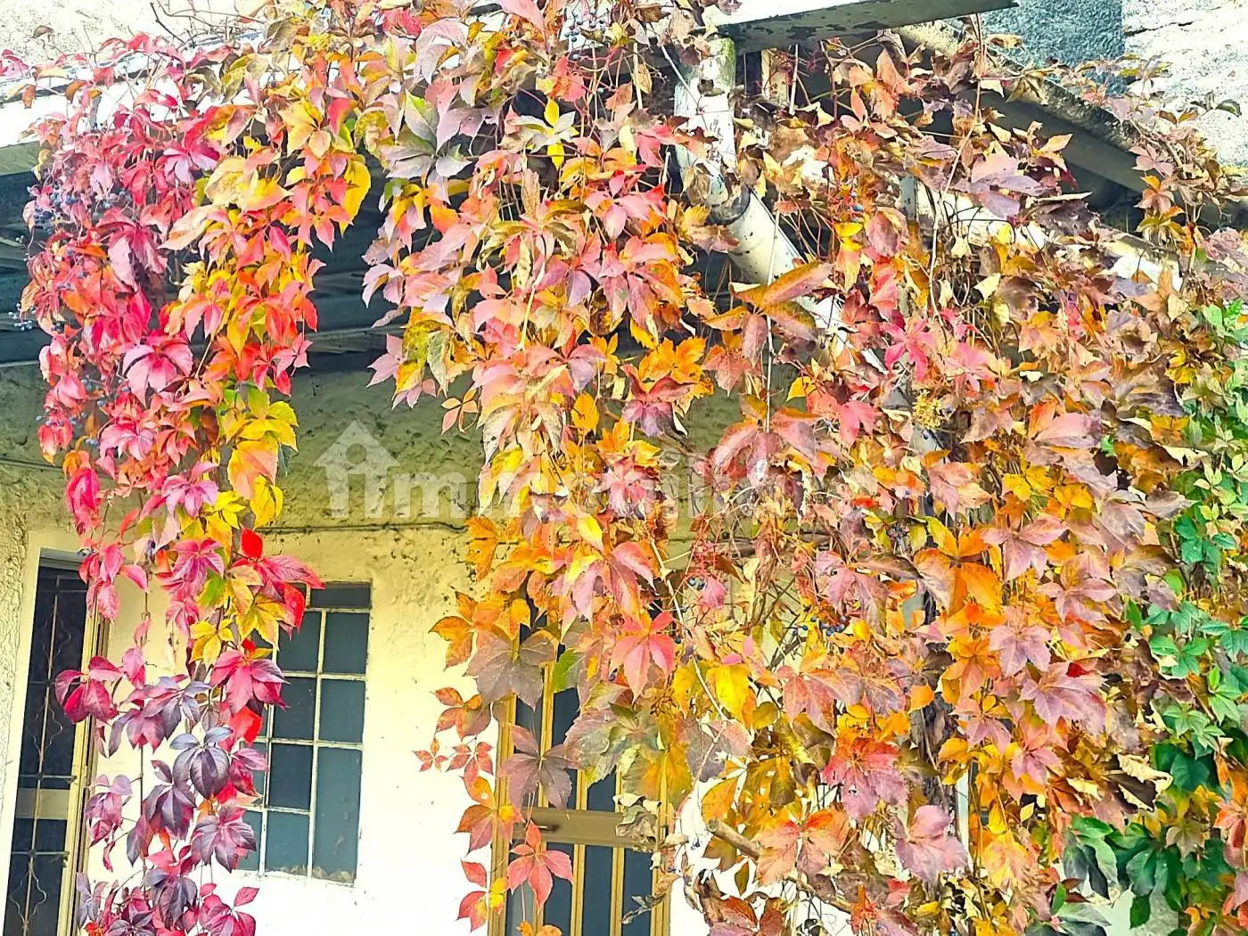 Rustico - Casale in vendita a Cartigliano