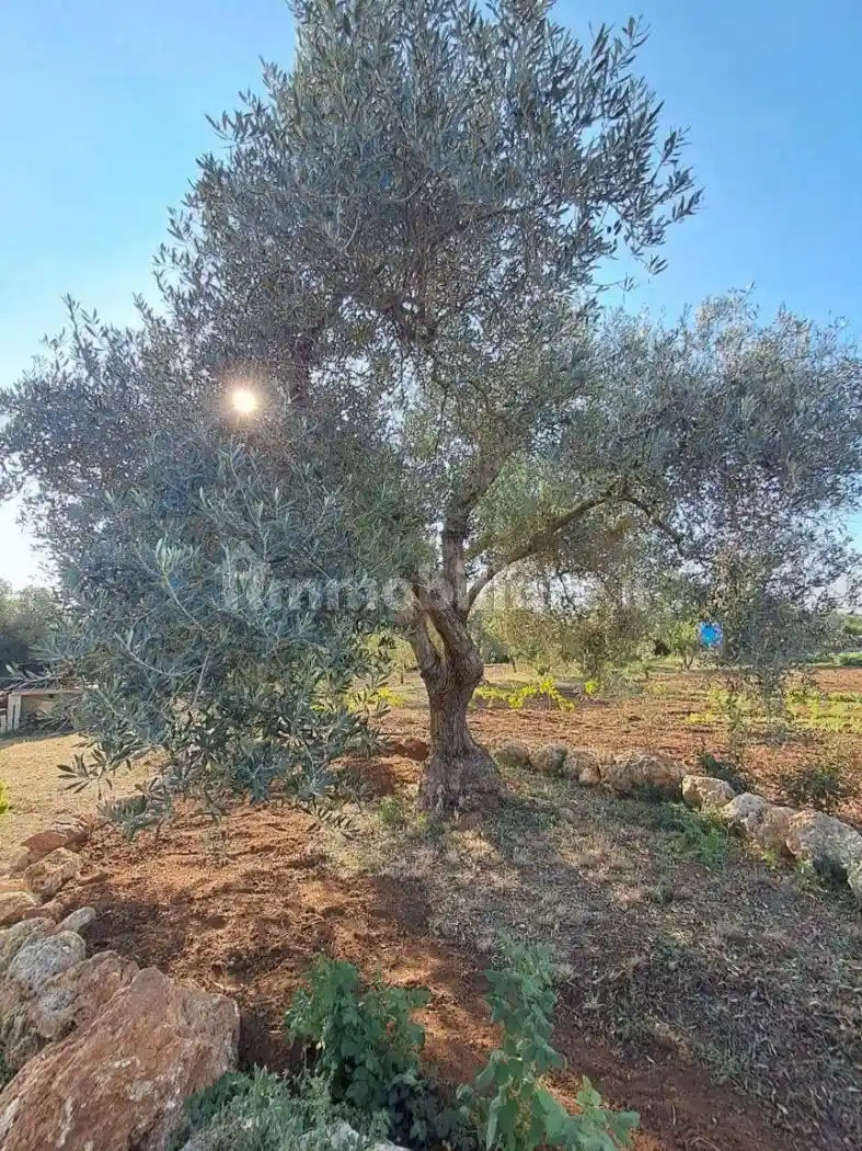 Villa unifamiliare Strada Vicinale Murruzzulu Tronco A, Bancali - Saccheddu, Sassari - foto 5