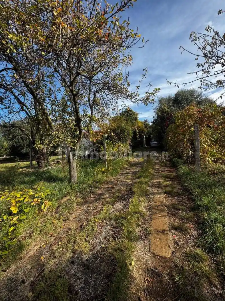 Rustico - Casale in vendita a Zagarolo