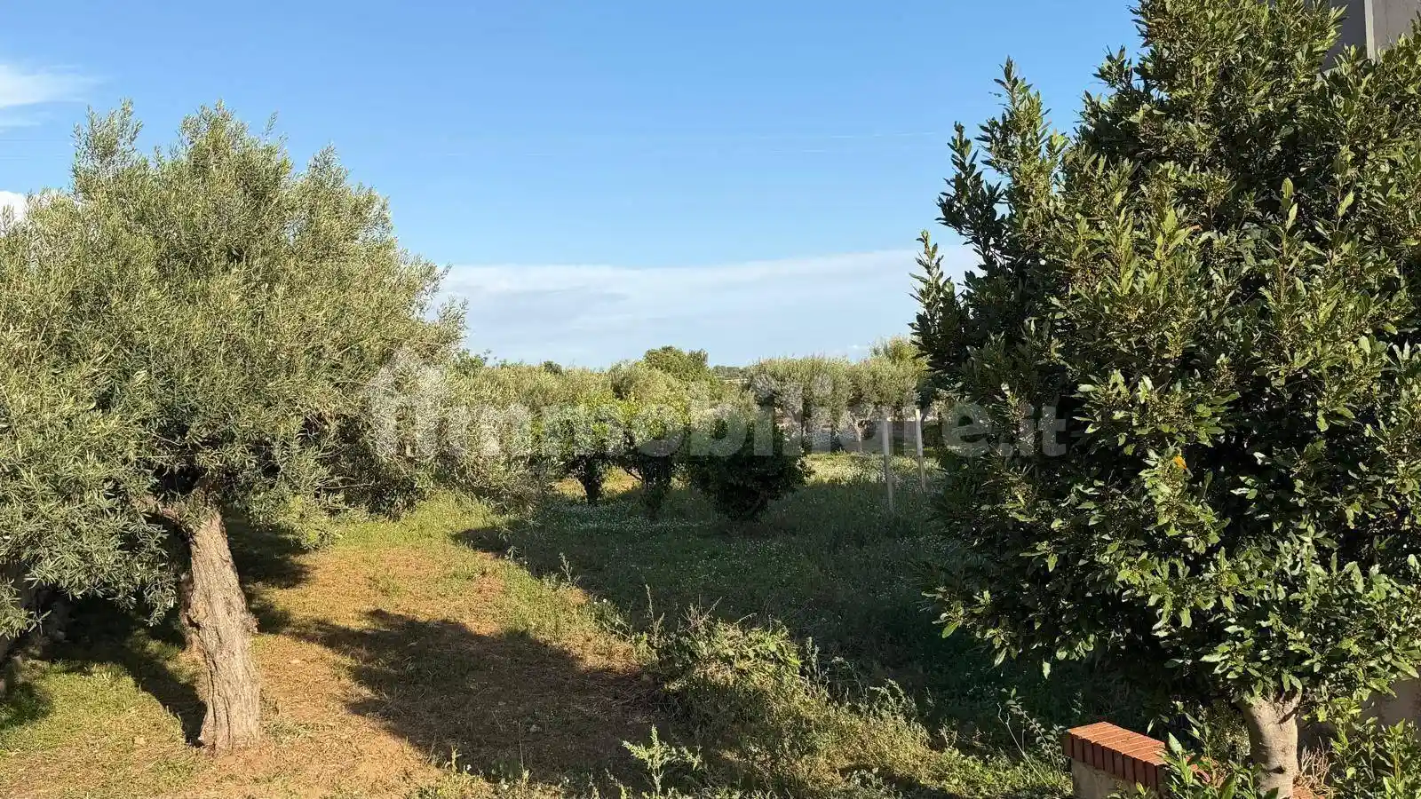 Villa unifamiliare Sp45 5, San Filippo, Modica - foto 5