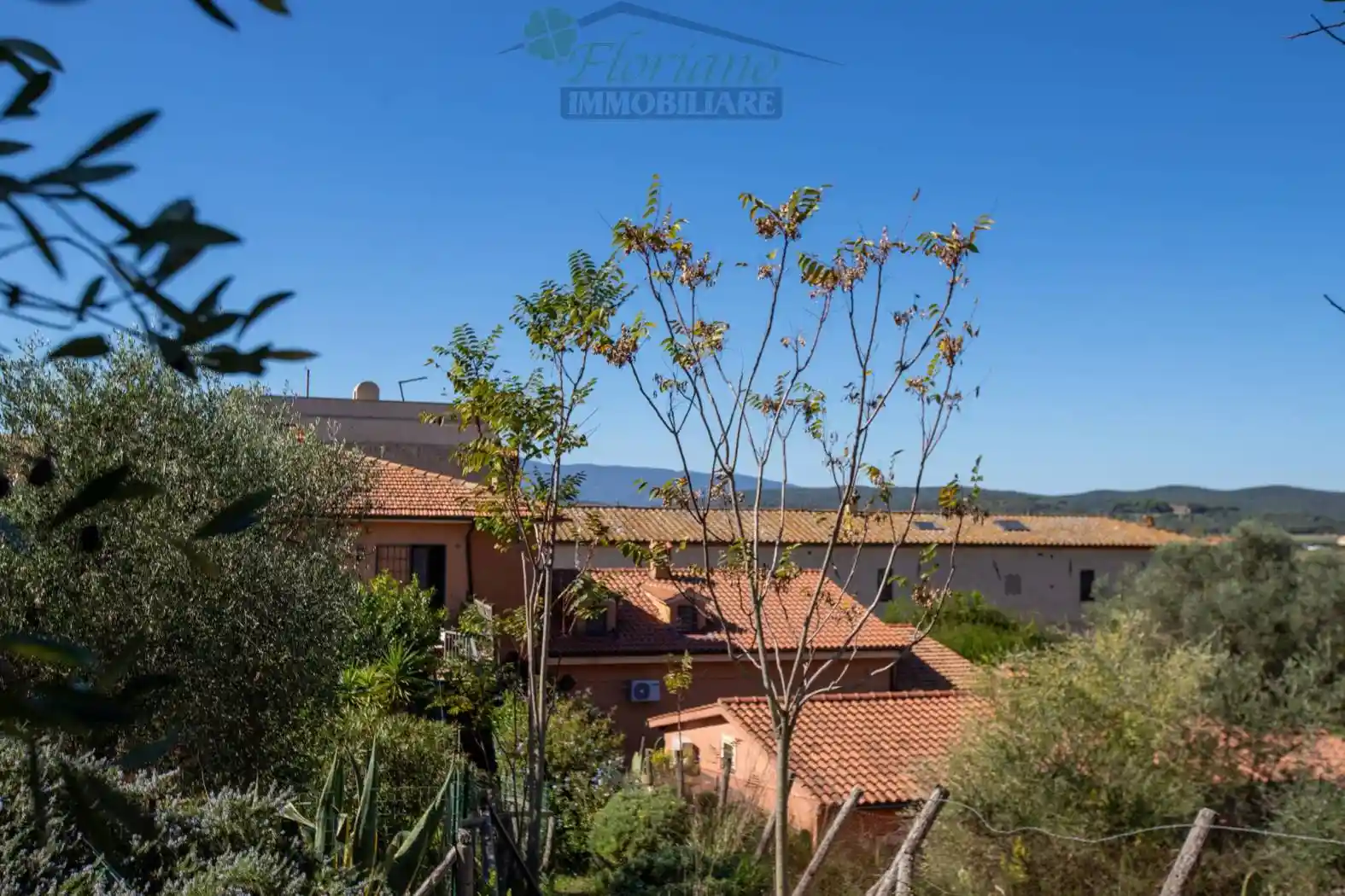 Appartamento in vendita a Capalbio