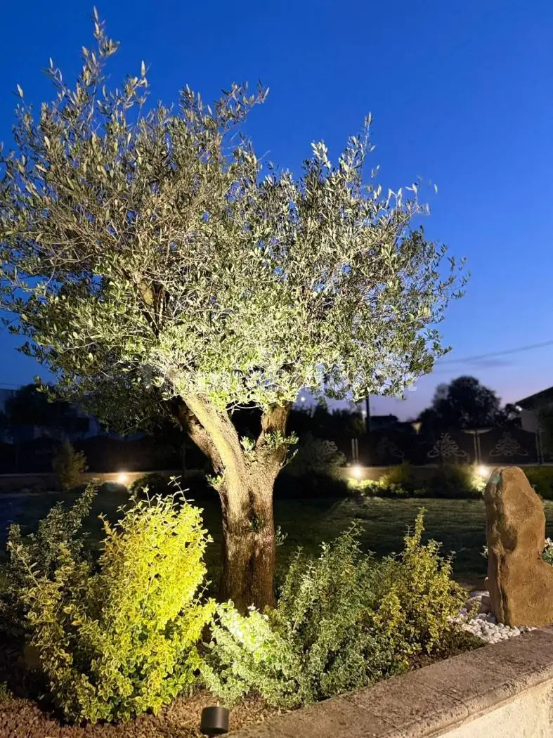 Villa in vendita a Castelvisconti