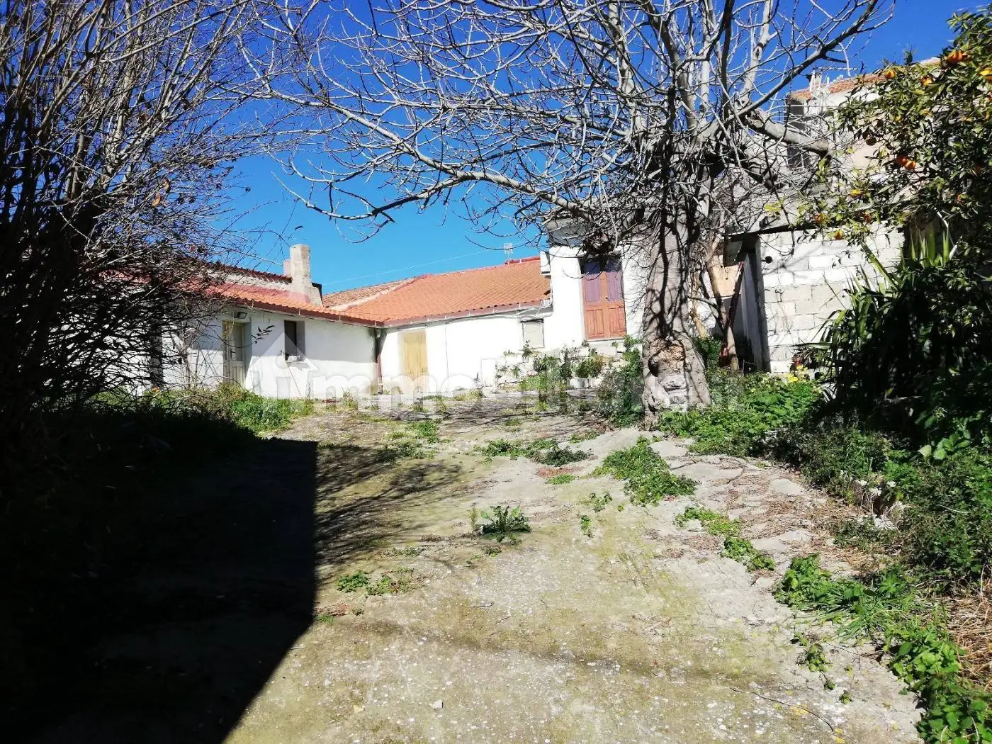 Casa indipendente in vendita a Gesico