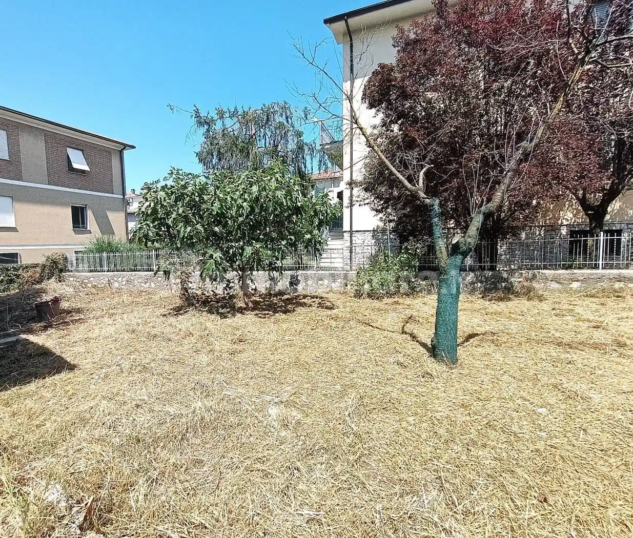 Palazzo - Edificio - foto 3