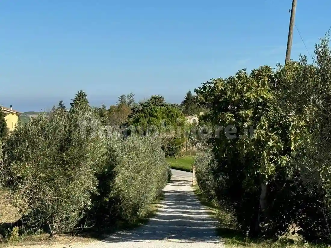 Rustico - Casale - foto 5