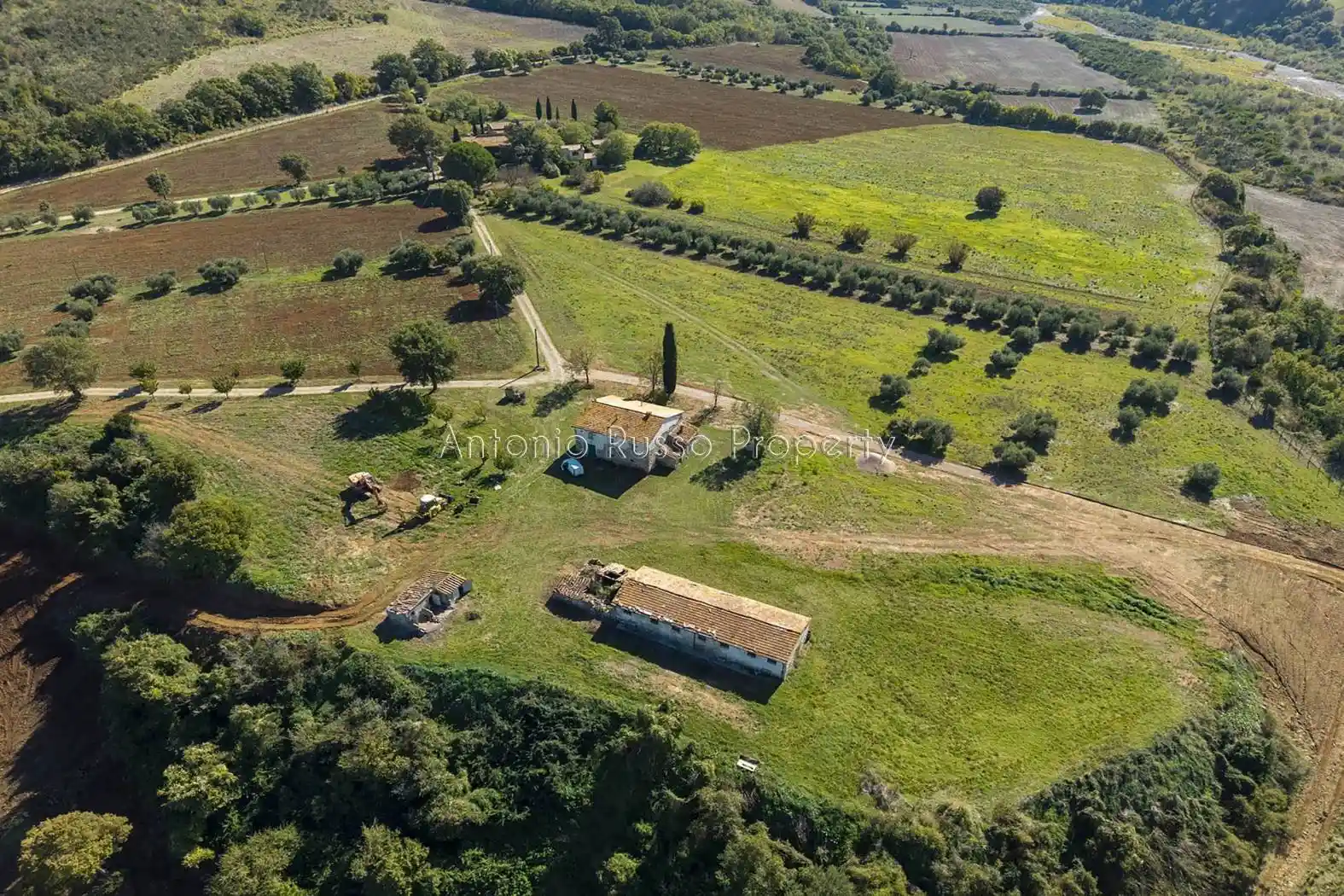 Rustico - Casale in vendita a Scansano