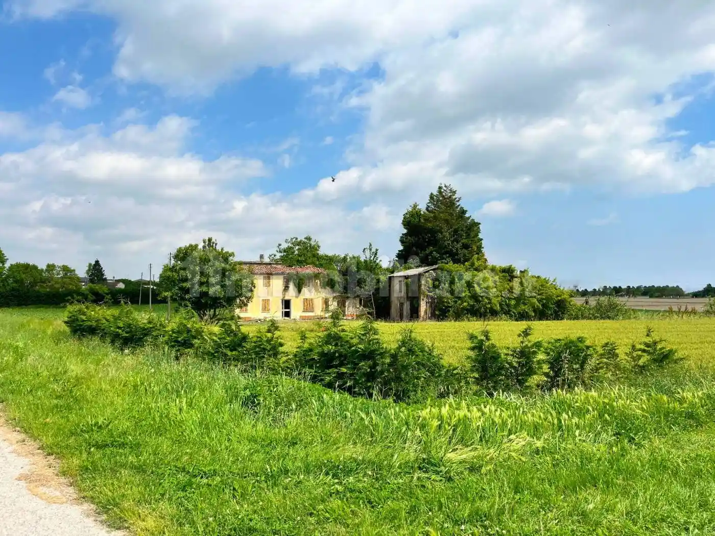 Rustico - Casale in vendita a Codevigo